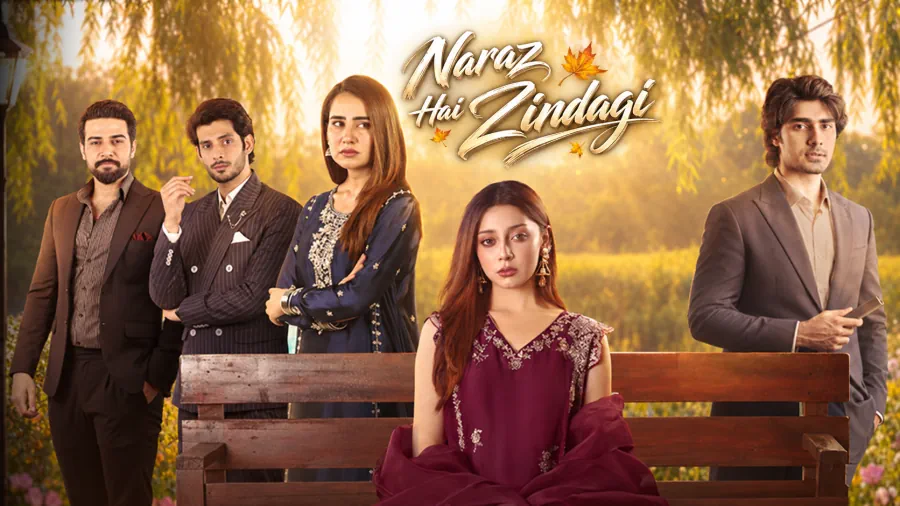 Naraz Hai Zindagi